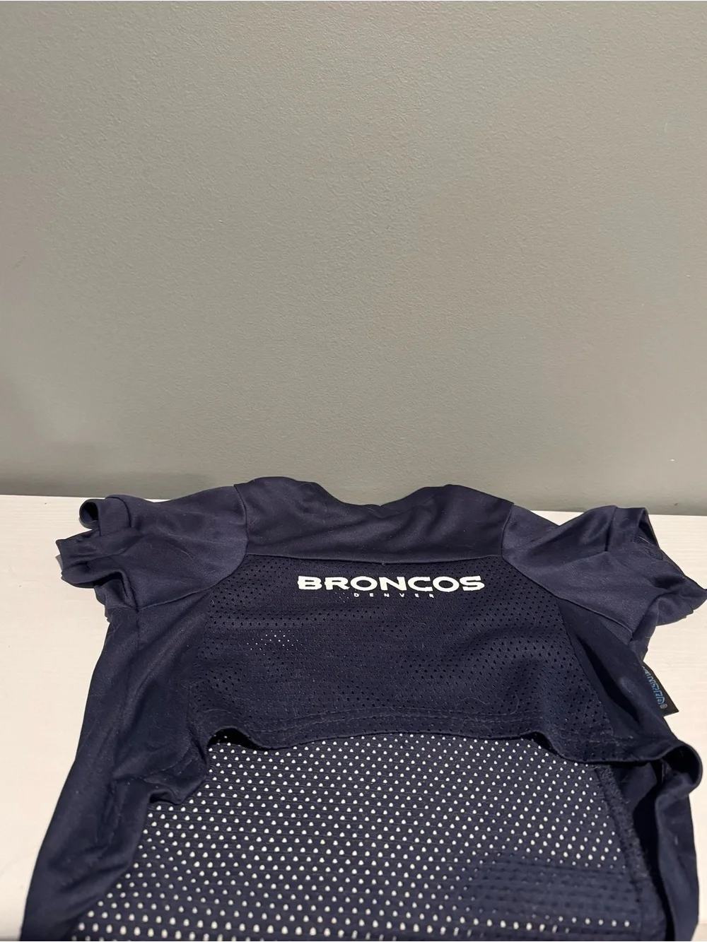 Denver Broncos Dogs Football Jersey with Team Logo
